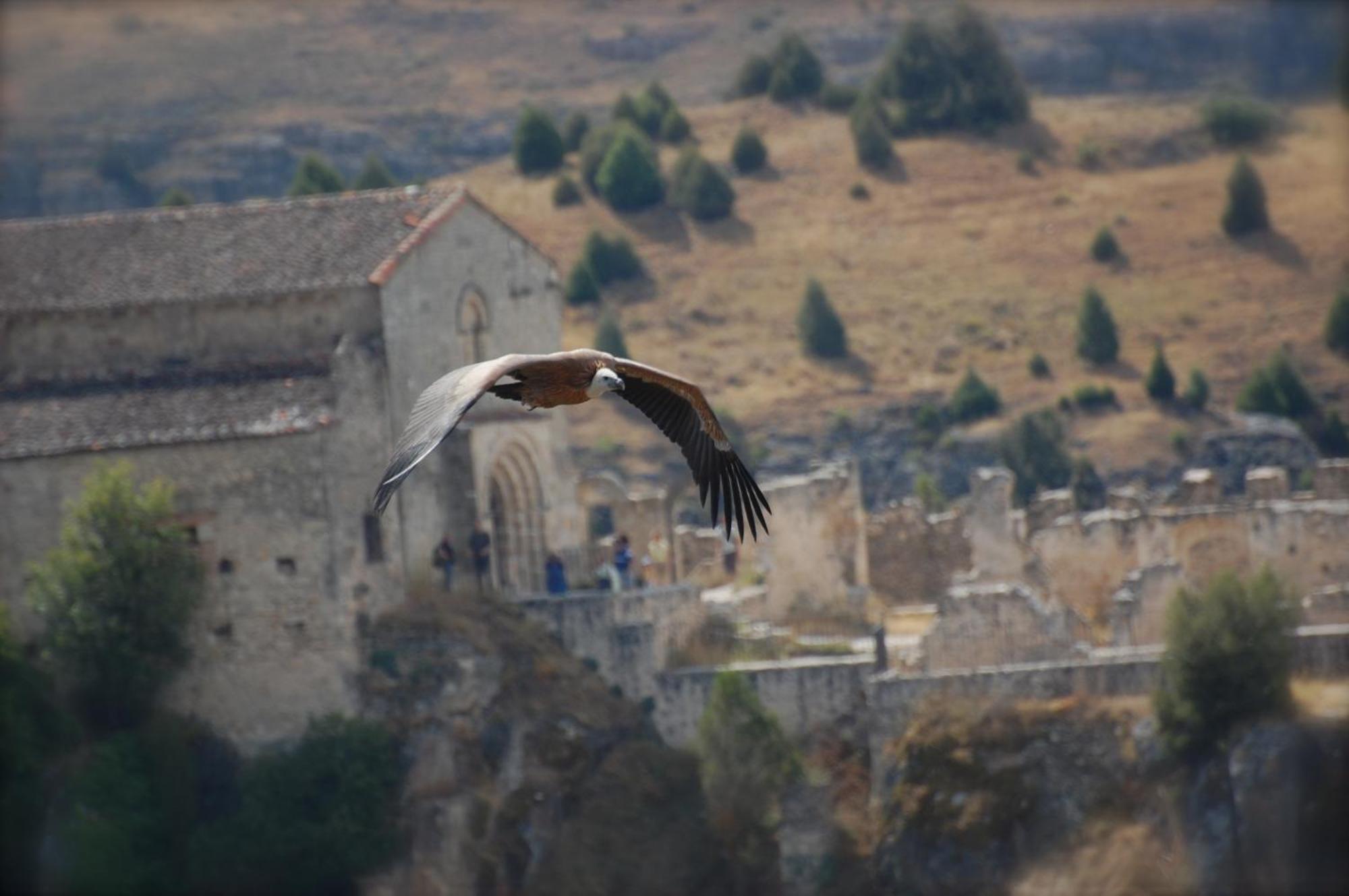 El Rincon De Las Hoces Del Duraton Burgomillodo ภายนอก รูปภาพ